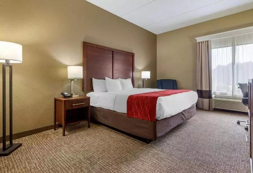 キングサイズベッドのスタンダードルーム, Comfort Inn & Suites Mocksville I 40