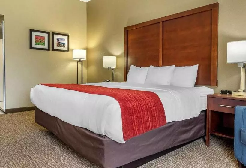 キングサイズベッドのスタンダードルーム, Comfort Inn & Suites Mocksville I 40