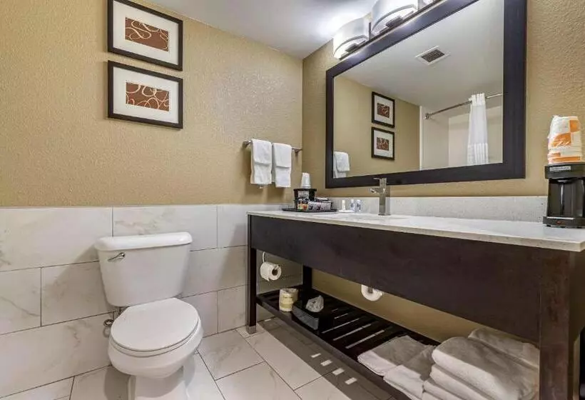 スイート, Comfort Inn & Suites Mocksville I 40