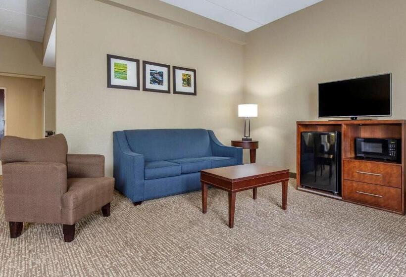 جناح, Comfort Inn & Suites Mocksville I 40