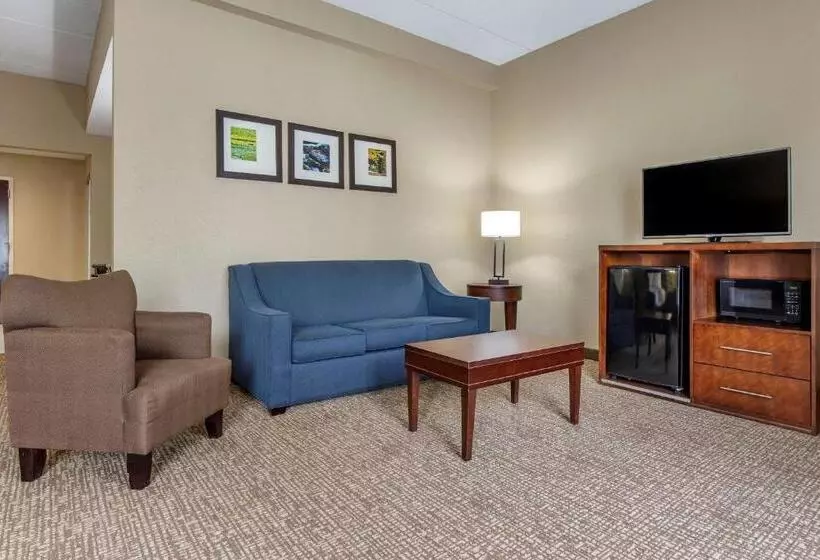 スイート, Comfort Inn & Suites Mocksville I 40