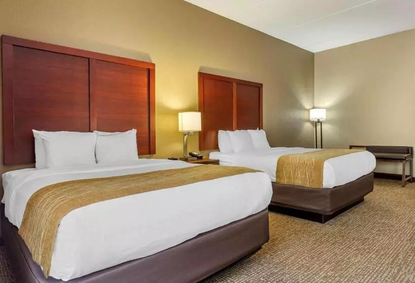スイート, Comfort Inn & Suites Mocksville I 40