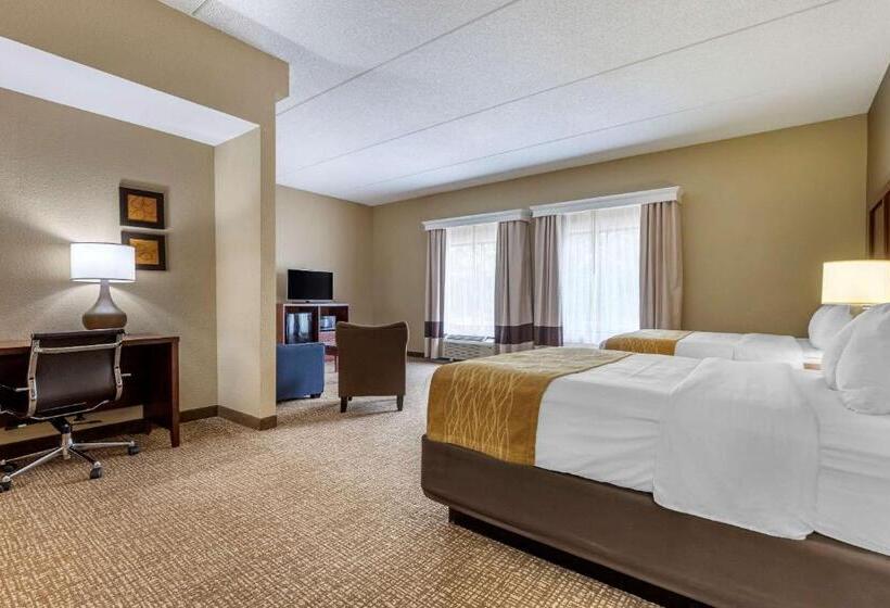 جناح, Comfort Inn & Suites Mocksville I 40