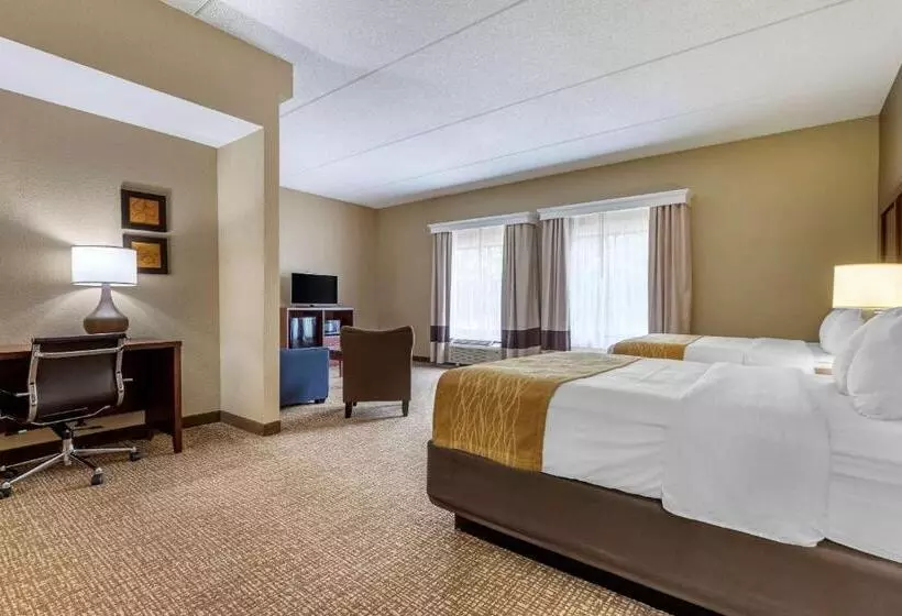 スイート, Comfort Inn & Suites Mocksville I 40