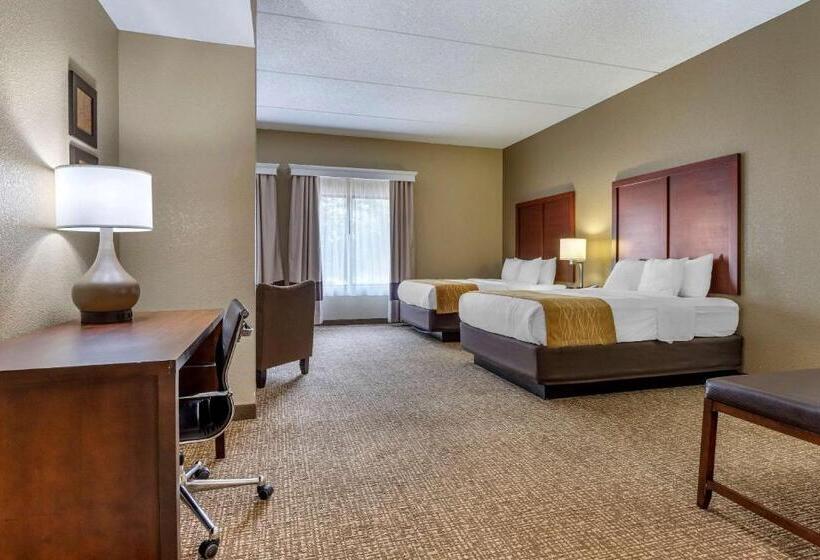 Люкс, Comfort Inn & Suites Mocksville I 40