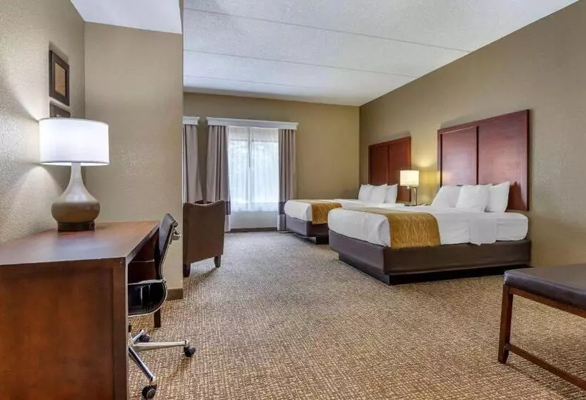 スイート, Comfort Inn & Suites Mocksville I 40