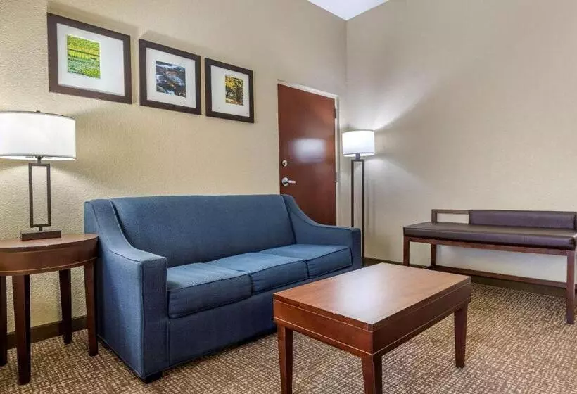 キングサイズベッドのスイートルーム, Comfort Inn & Suites Mocksville I 40