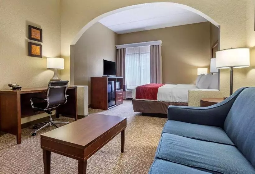 キングサイズベッドのスイートルーム, Comfort Inn & Suites Mocksville I 40