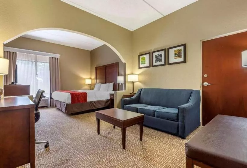 キングサイズベッドのスイートルーム, Comfort Inn & Suites Mocksville I 40