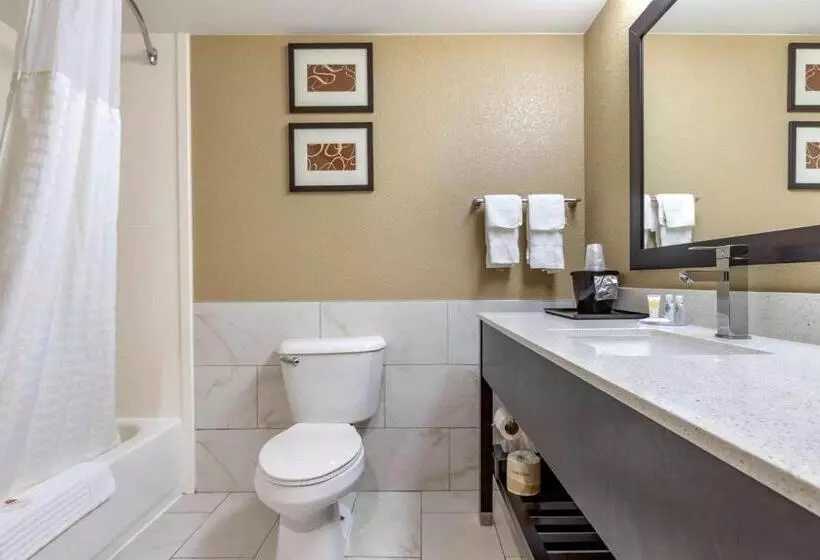 キングサイズベッドのスイートルーム, Comfort Inn & Suites Mocksville I 40