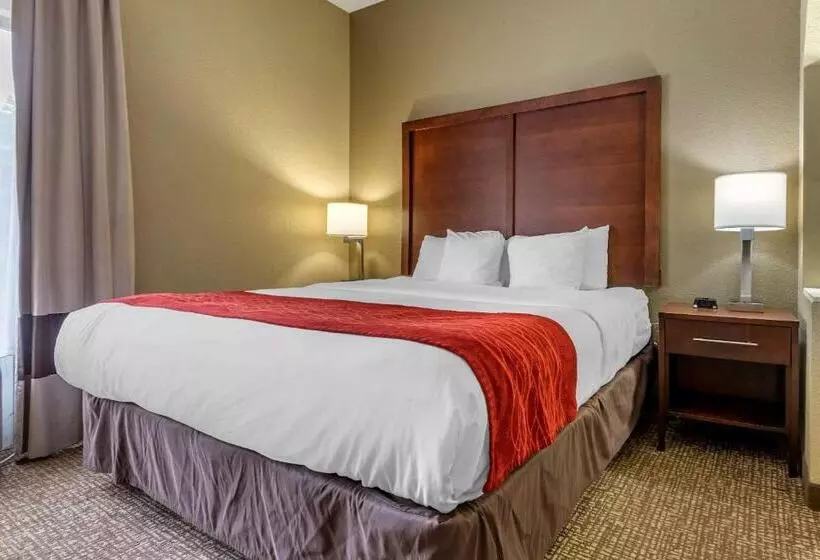 キングサイズベッドのスイートルーム, Comfort Inn & Suites Mocksville I 40