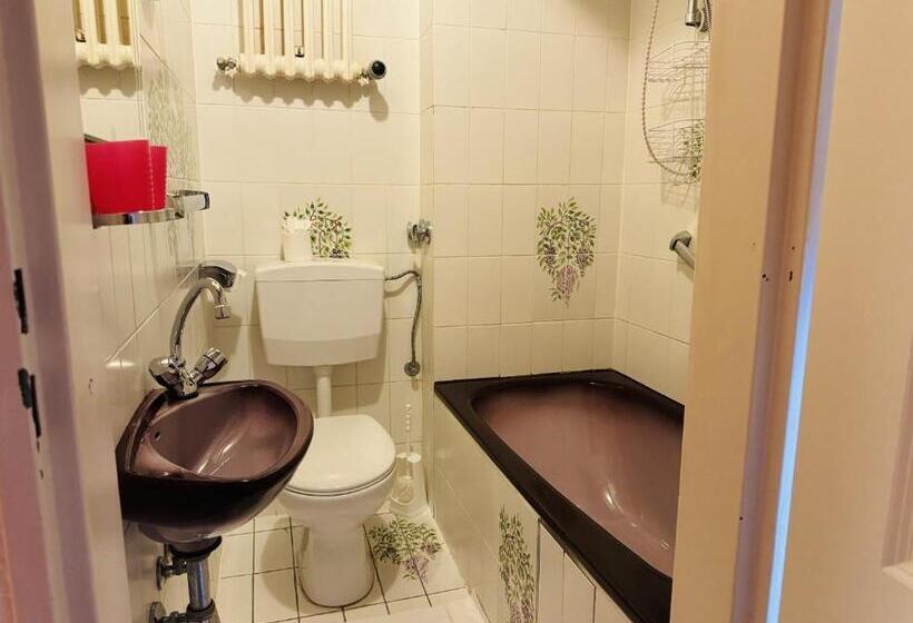 اتاق کلاسیک سه تخته, Nest