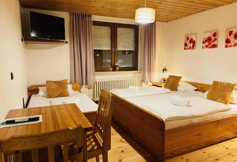 اتاق کلاسیک سه تخته, Nest