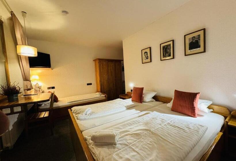 اتاق کلاسیک سه تخته, Nest