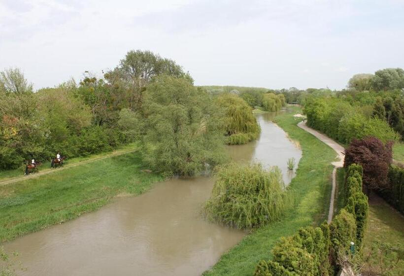 חדר סטנדרט, Panorama