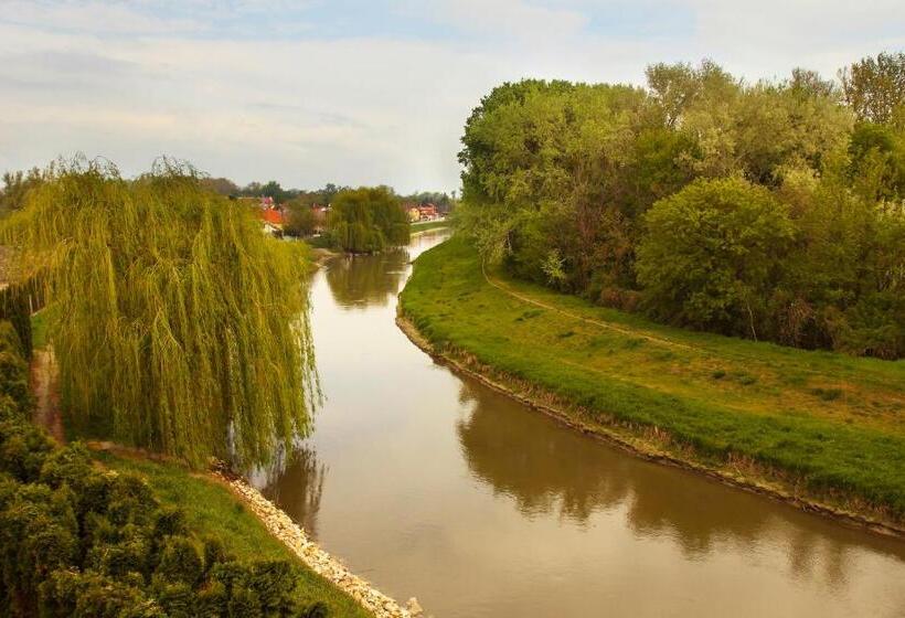 דירת חדר סופריור, Panorama