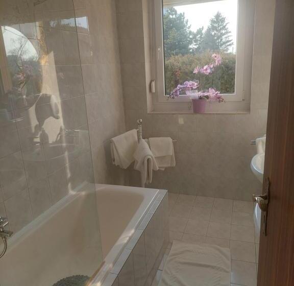 דירת חדר סופריור, Panorama