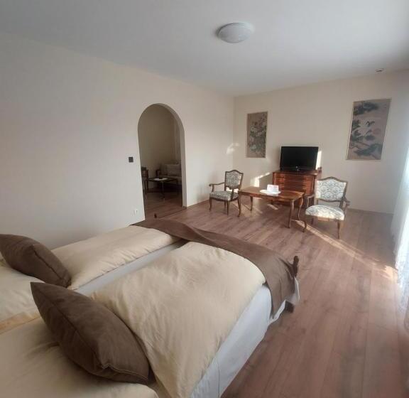 דירת חדר סופריור, Panorama