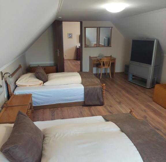 דירת חדר, Panorama