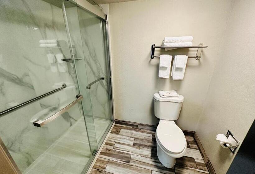 اتاق استاندارد با تخت بزرگ, Quality Inn Show Low