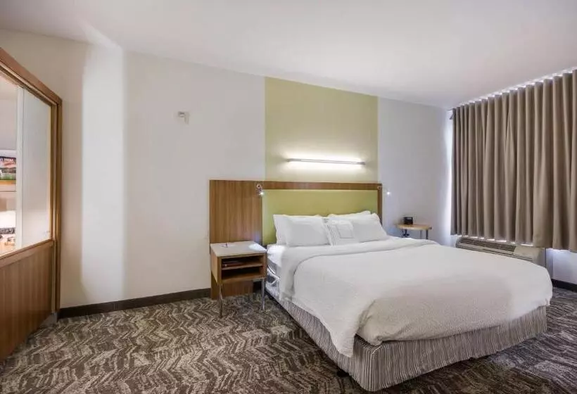 キングサイズベッドのスイートルーム, Springhill Suites By Marriott Enid