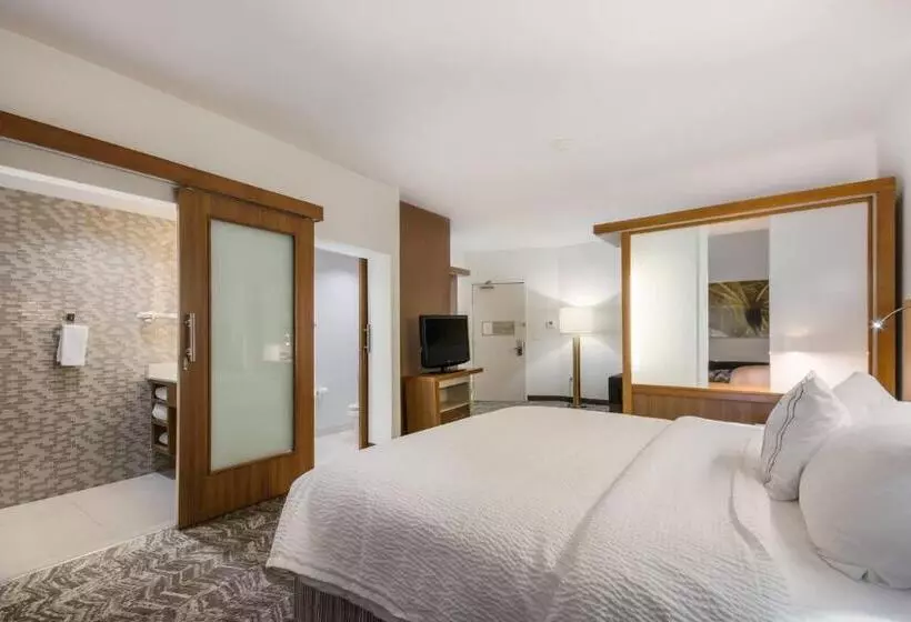 キングサイズベッドのスイートルーム, Springhill Suites By Marriott Enid