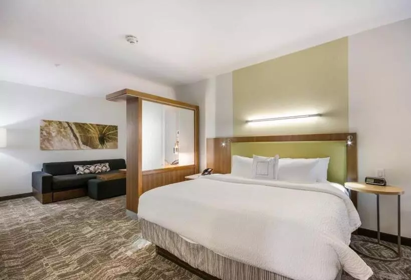 キングサイズベッドのスイートルーム, Springhill Suites By Marriott Enid