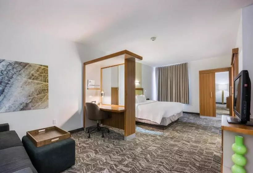キングサイズベッドのスイートルーム, Springhill Suites By Marriott Enid