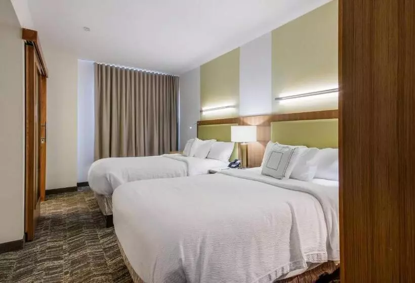 スイート, Springhill Suites By Marriott Enid