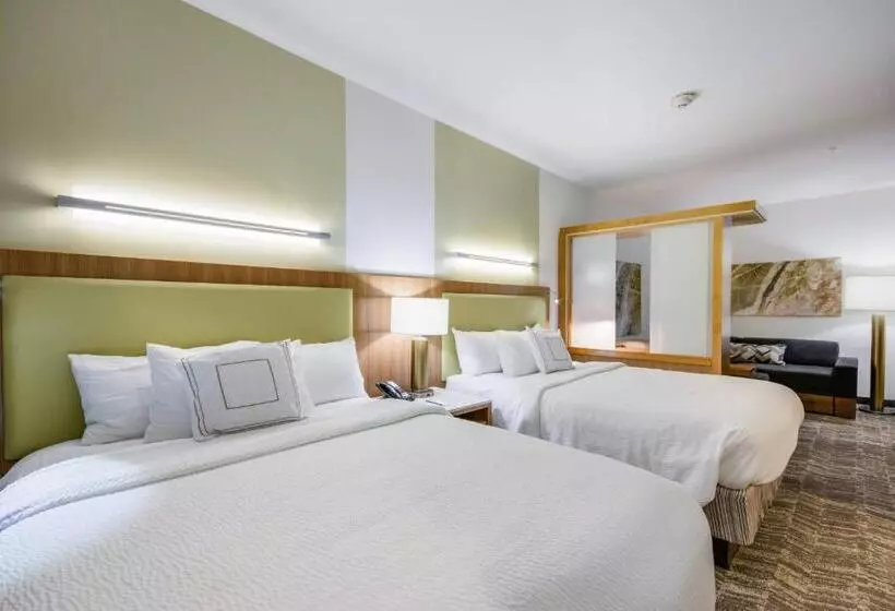 スイート, Springhill Suites By Marriott Enid