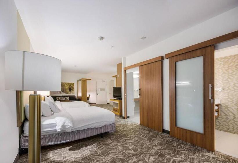 جناح, Springhill Suites By Marriott Enid