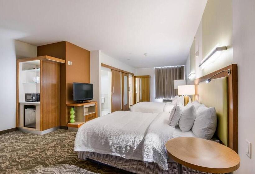 Люкс, Springhill Suites By Marriott Enid