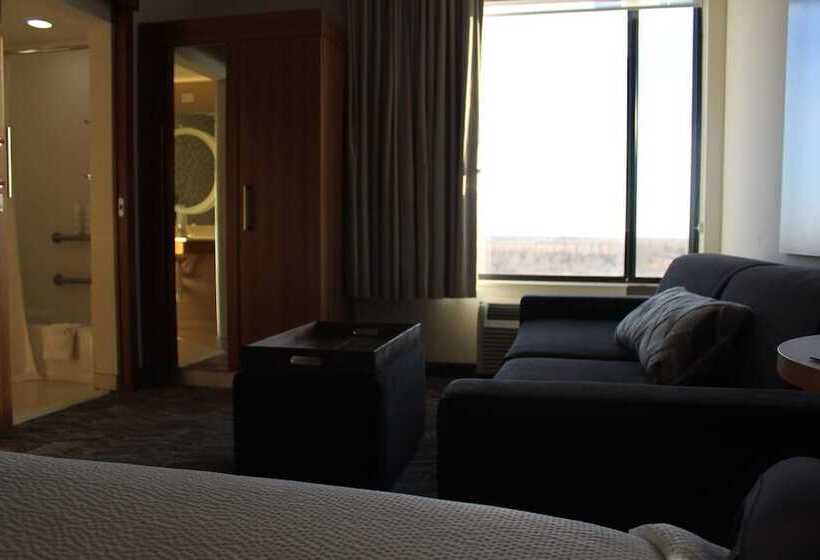 جناح, Springhill Suites By Marriott Enid