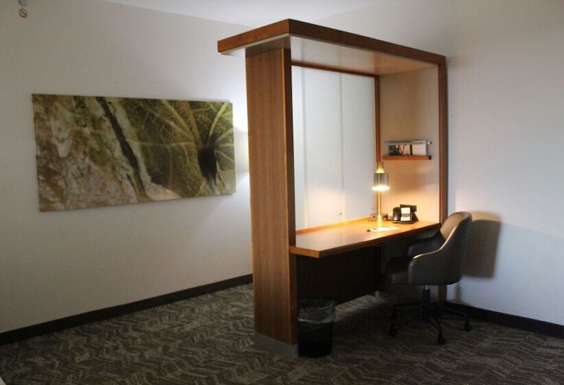 Люкс, Springhill Suites By Marriott Enid