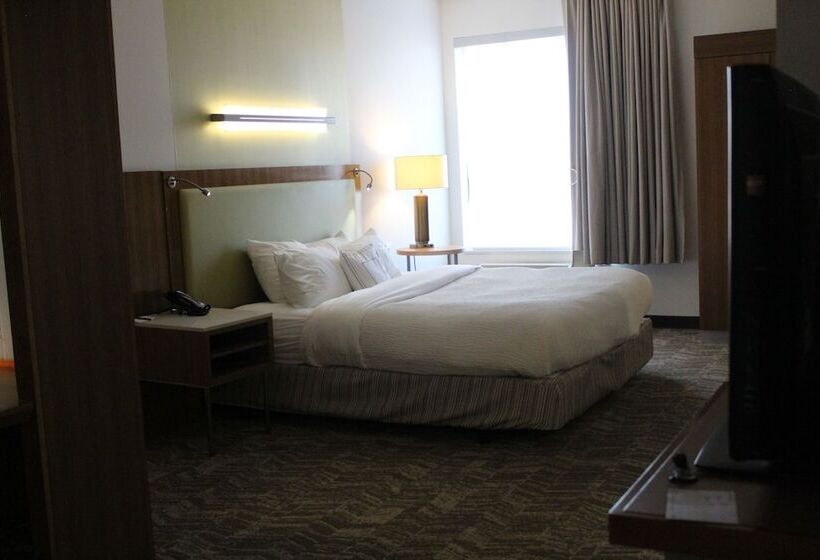جناح, Springhill Suites By Marriott Enid