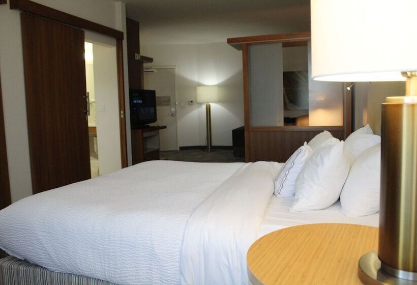 جناح, Springhill Suites By Marriott Enid