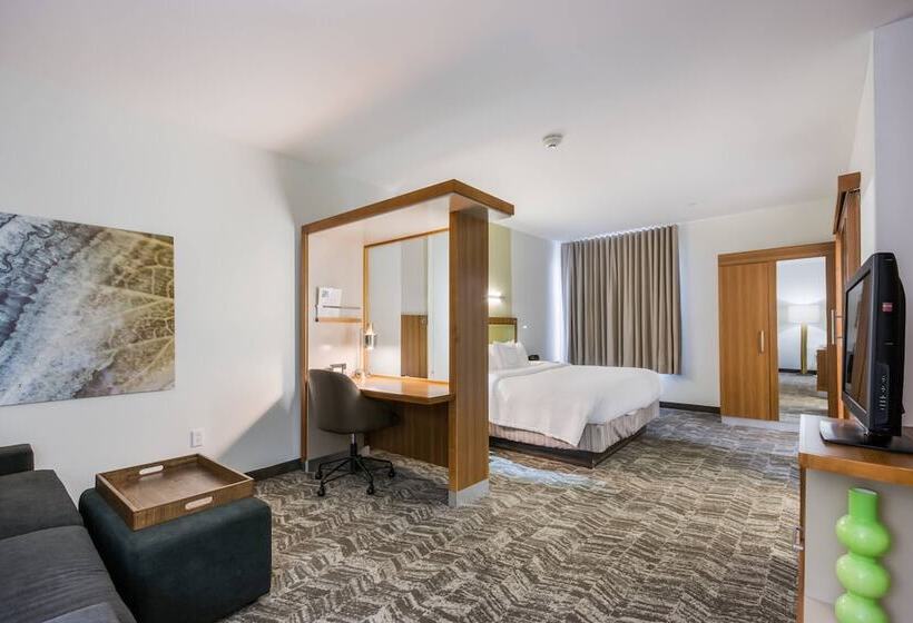 جناح, Springhill Suites By Marriott Enid