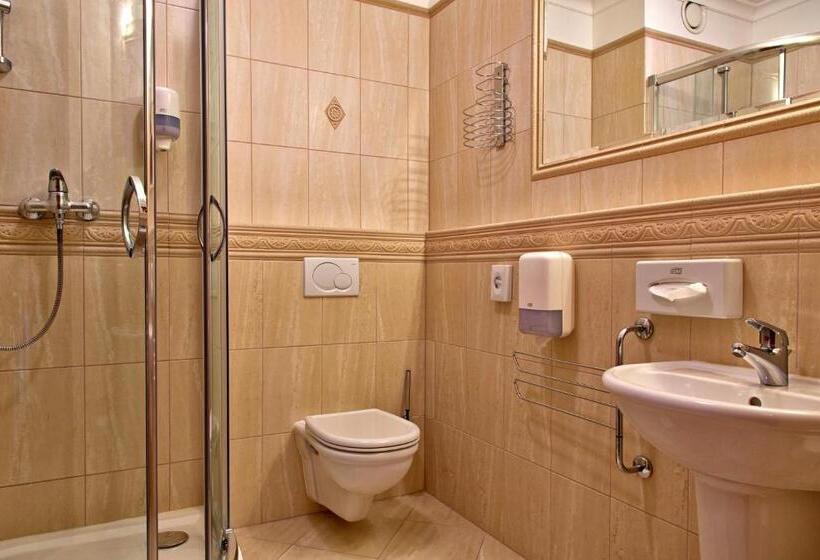 غرفة قياسية, Sv. Ludmila