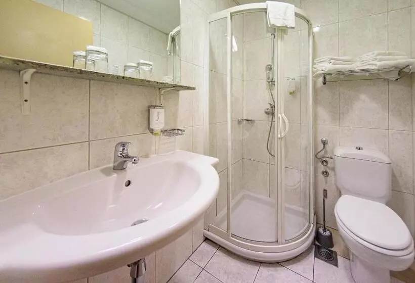 اتاق اکونومی, Toplice  Terme Krka