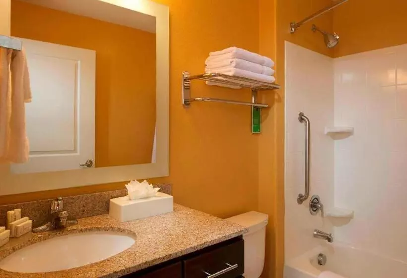 クイーンベッドのスタンダードスタジオ, Towneplace Suites By Marriott Jacksonville