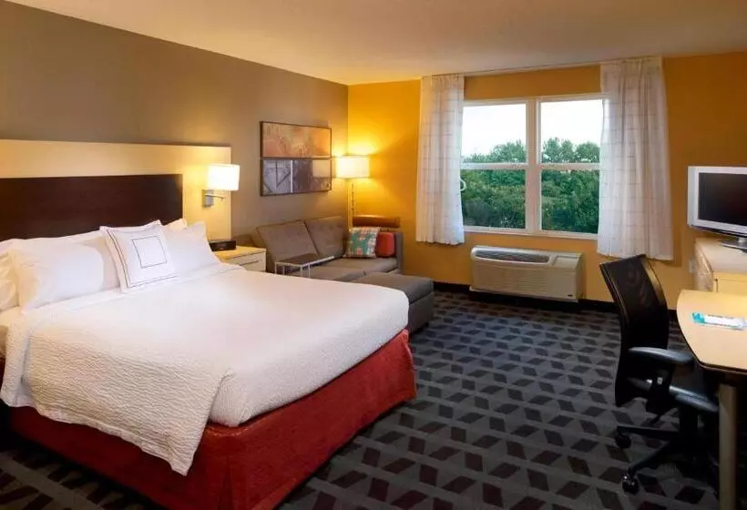 クイーンベッドのスタンダードスタジオ, Towneplace Suites By Marriott Jacksonville
