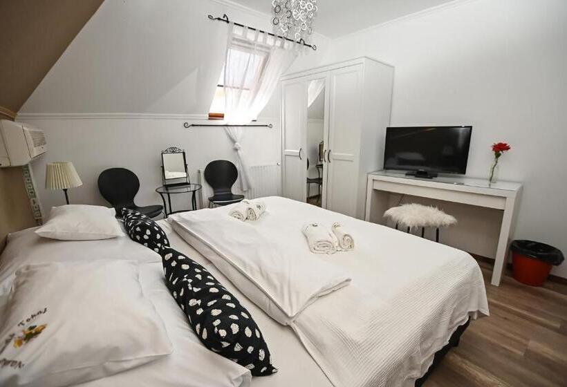 חדר סטנדרט, Vaskó Panzió Borpince