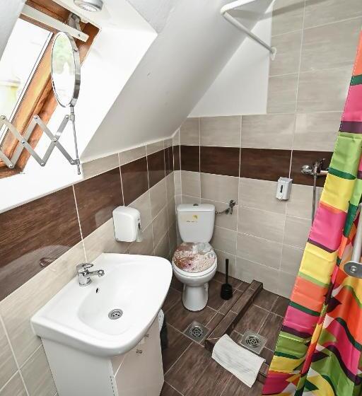 חדר סטנדרט, Vaskó Panzió Borpince