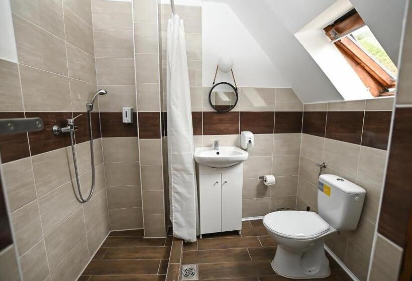 חדר סטנדרט, Vaskó Panzió Borpince