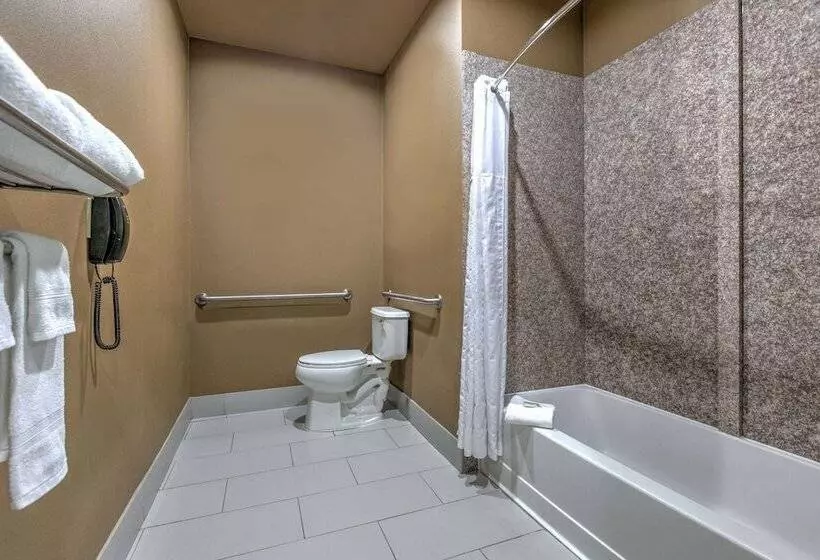 Deluxe-huone Soveltuu Liikuntarajoitteisille, Super 8 By Wyndham Karnes City