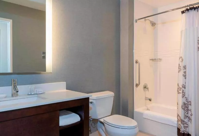 استودیو استاندارد با تخت کینگ, Residence Inn By Marriott Akron South/green