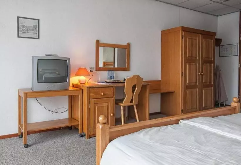 Standard Room Adapted for people with reduced mobility, Fletcher Hotel Restaurant De Borken