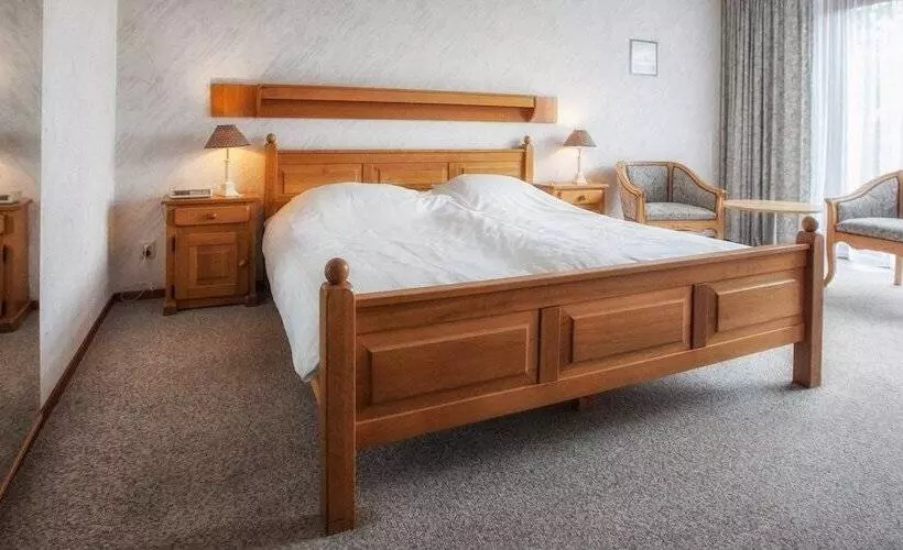 Standard Room Adapted for people with reduced mobility, Fletcher Hotel Restaurant De Borken