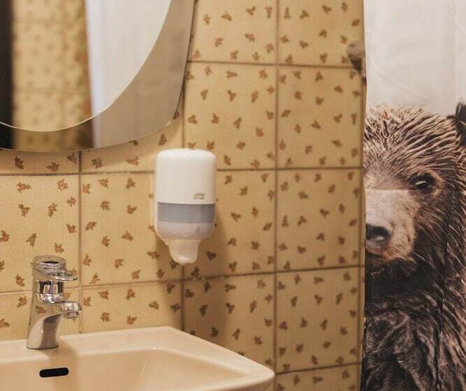 标准单人间, Bären