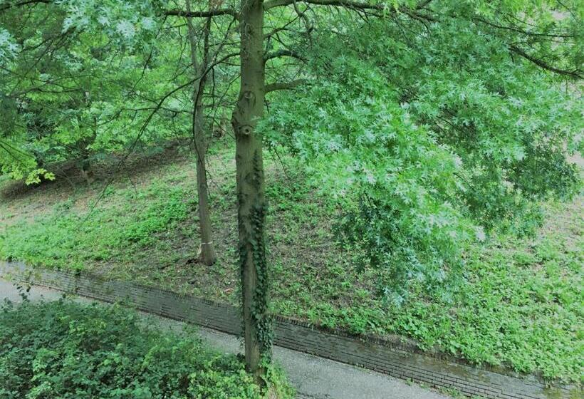 Номер Стандарт Вид на Парк, Courage Nijmegen